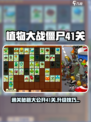 植物大战僵尸杂交版41关怎么过介绍