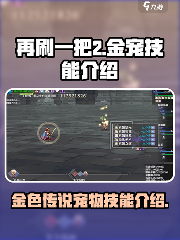 再刷一把2金色传说宠物技能是什么介绍截图1