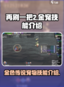 再刷一把2金色传说宠物技能是什么介绍