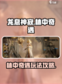 龙息神寂林中奇遇攻略介绍