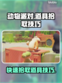 动物派对📦猛兽派对💥道具拾取大全🎉