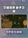 🔥《饥困荒野》生存秘籍大公开！💥
