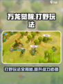 万龙觉醒可以打野吗介绍