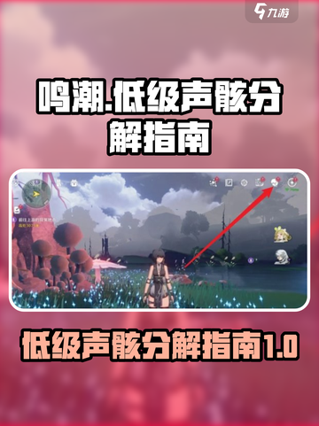 鸣潮⚡低级声骸分解全流程曝光！游戏玩家必看🔥截图1