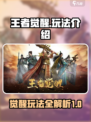 王者觉醒怎么玩介绍