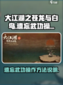 大江湖之苍龙与白鸟遗忘武功怎么操作介绍
