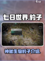 七日世界💥豹子来袭！🔥游戏党必玩🔥