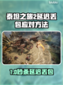 《泰坦之旅2延迟丢包？速看解决攻略！🚀》