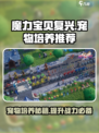 魔力宝贝复兴版🔥必培养宠物推荐🎉