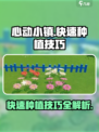 心动小镇快速种植技巧介绍