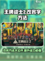 王牌战士2怎么改名字介绍
