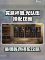 龙息神寂光队伍搭配攻略介绍