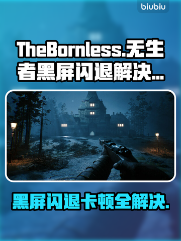 TheBornless黑屏闪退？无生者延迟丢包解决办法✨🎮截图1