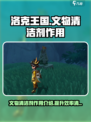 洛克王国世界文物清洁剂作用介绍介绍