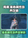 鸣潮⚡鉴心护盾吃啥属性？培养攻略来了！