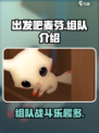 出发吧麦芬组队🔥游戏福利加倍，快来看看有哪些好处！🎮