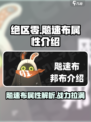 绝区零飚速布怎么样介绍