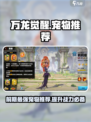 万龙觉醒前期宠物推荐介绍