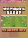 梦想足球阵容怎么搭配介绍