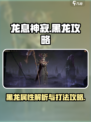 龙息神寂黑龙怎么样介绍