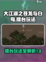 大江湖之苍龙与白鸟擂台怎么玩介绍