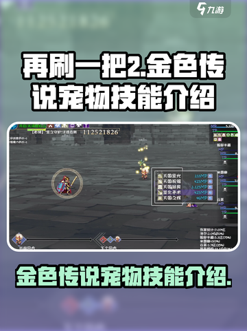 再刷一把2金色传说宠物技能是什么介绍截图1