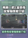 再刷一把2金色传说宠物技能是什么介绍