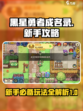 黑星勇者成名录攻略介绍