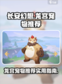 长安幻想手游龙宫宠物哪个好介绍