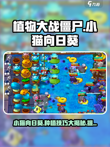 植物大战僵尸：小猫向日葵✨助你轻松取胜！截图1
