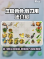 庄园合合剪刀的用法有哪些介绍