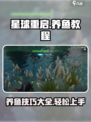 星球重启🔥养鱼教程，快速养成秘籍🎉