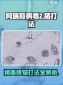 《阿瑞斯病毒2》暴击野猪攻略！💥