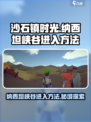 《沙石镇时光》纳西坦峡谷入口✨隐藏地图等你来探！