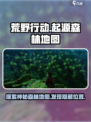 荒野起源地图位置介绍介绍