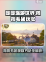 无限暖暖狗狗毛团如何获取介绍