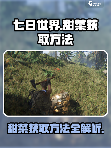七日世界手游哪有甜菜介绍截图1