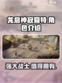 龙息神寂夏特怎么样介绍
