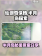 仙剑世界🔥半月岛神秘地点大起底！✨