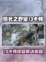 🎮信长之野望13卡顿终极解决方法！💥