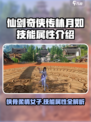 仙剑世界林月如特点介绍
