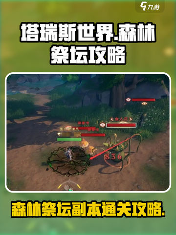 塔瑞斯世界boss开荒教程介绍截图1