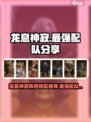 龙息神寂阵容推荐介绍