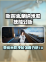 斯露德奈纳米勒好玩吗介绍