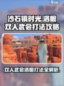 《沙石镇时光》双人武会打洛根🔥超详细攻略来啦！
