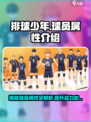 排球少年手游球员属性是什么介绍