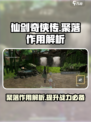 仙剑世界聚落有什么作用介绍