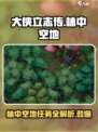 大侠立志传林中空地攻略介绍