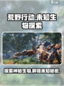 荒野起源未知生物有哪些介绍
