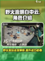 野火流明白中云怎么样介绍